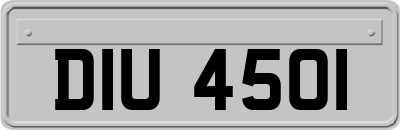 DIU4501