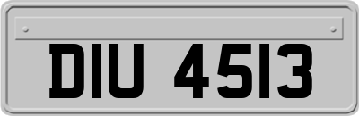 DIU4513