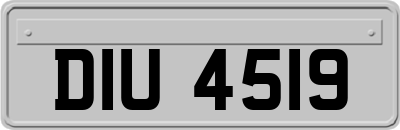 DIU4519