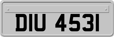 DIU4531