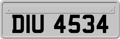 DIU4534