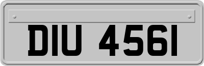 DIU4561