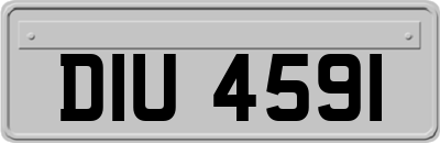 DIU4591