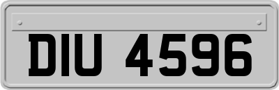DIU4596