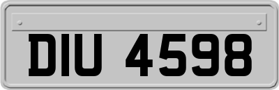 DIU4598