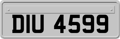 DIU4599