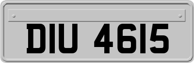 DIU4615