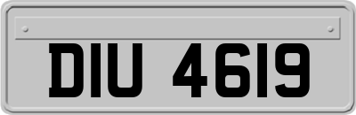 DIU4619