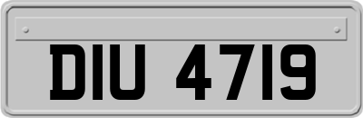 DIU4719