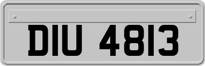 DIU4813