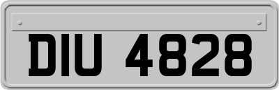 DIU4828