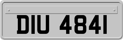 DIU4841