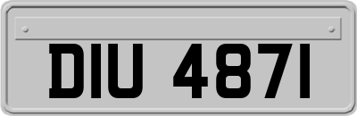 DIU4871
