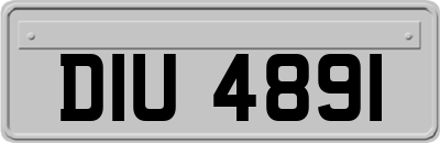 DIU4891