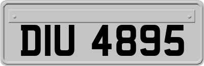 DIU4895