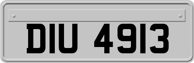 DIU4913
