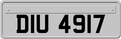 DIU4917