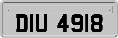 DIU4918