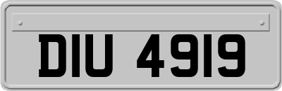 DIU4919