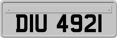 DIU4921