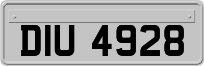 DIU4928