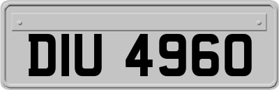 DIU4960