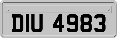 DIU4983