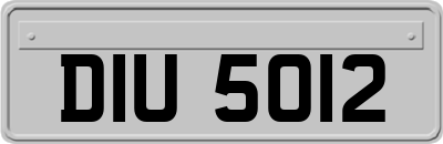 DIU5012