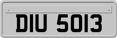 DIU5013