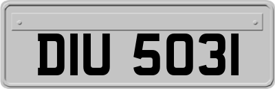 DIU5031