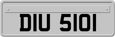 DIU5101