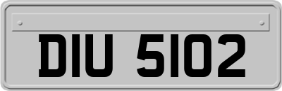 DIU5102