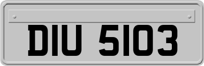 DIU5103