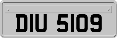 DIU5109