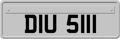 DIU5111
