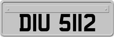 DIU5112