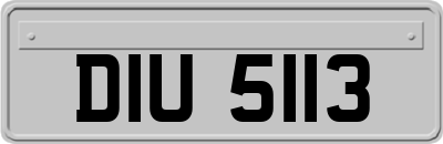 DIU5113