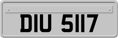DIU5117