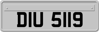 DIU5119