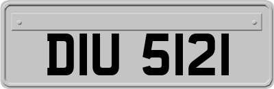 DIU5121