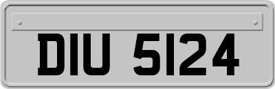 DIU5124