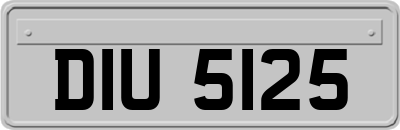 DIU5125