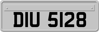 DIU5128