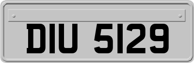 DIU5129