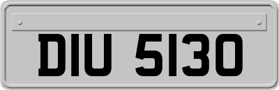 DIU5130