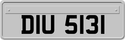 DIU5131