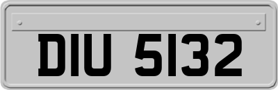 DIU5132
