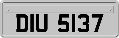 DIU5137