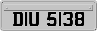 DIU5138