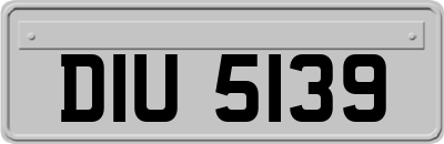 DIU5139